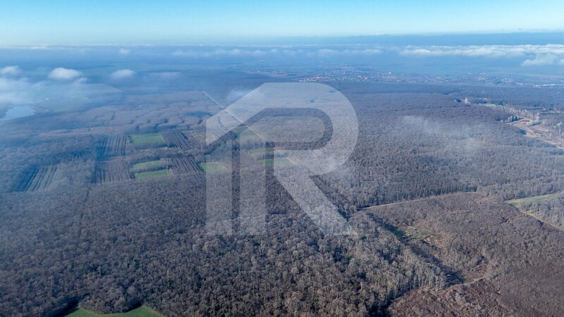 Teren langa Manastirea Sfantul Nicolae Sitaru